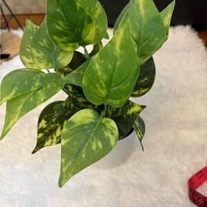 Target Faux Greenery in White Planter